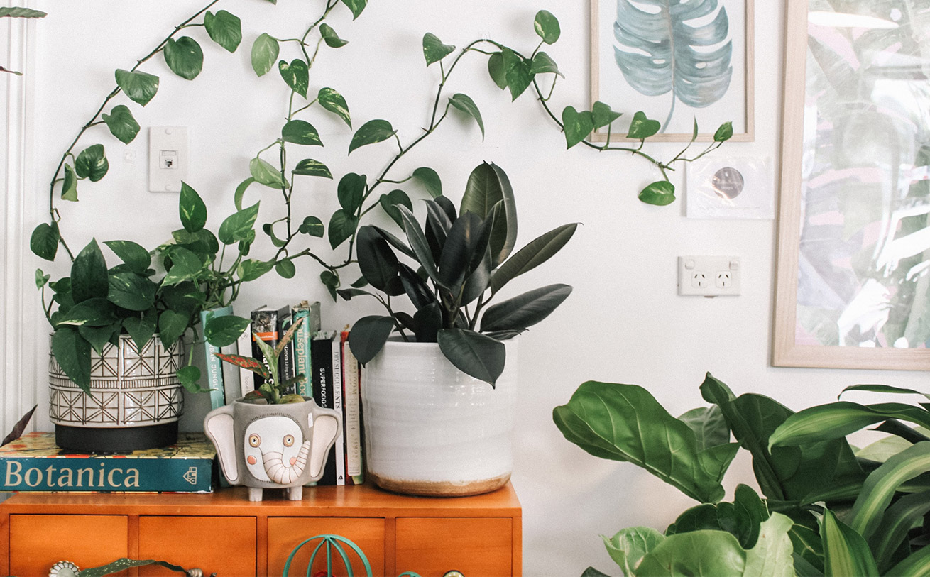 Annons:START banner_plants.jpg